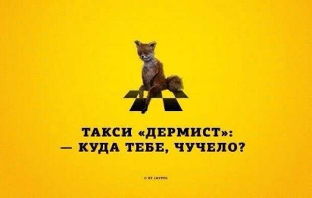 Прикольные картинки для хорошего настроения