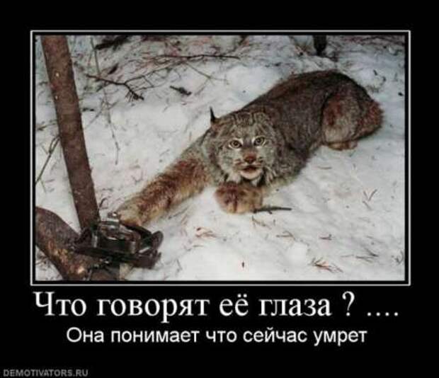 Красивые демотиваторы и серьезные фразы и цитаты со смыслом.