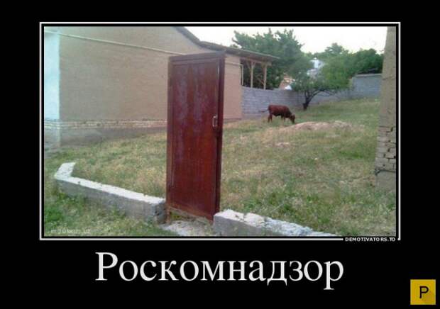 Зри в корень  (32 фото)