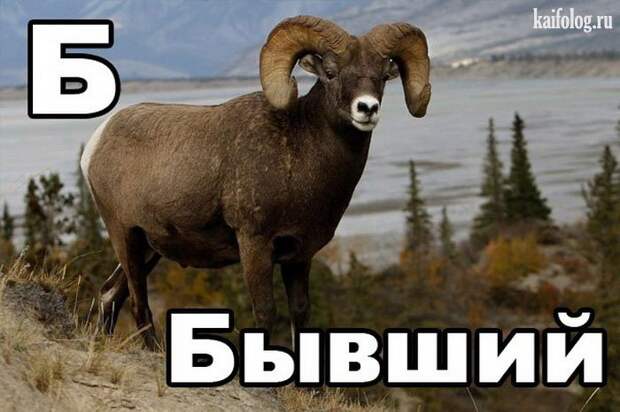 Русский алфавит (65 картинок)