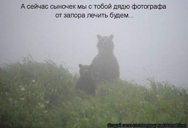 Юмор свежих котоматриц за 25.11.2011 (30 штук)