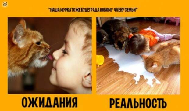 Чем ожидание отличается от реальности 12