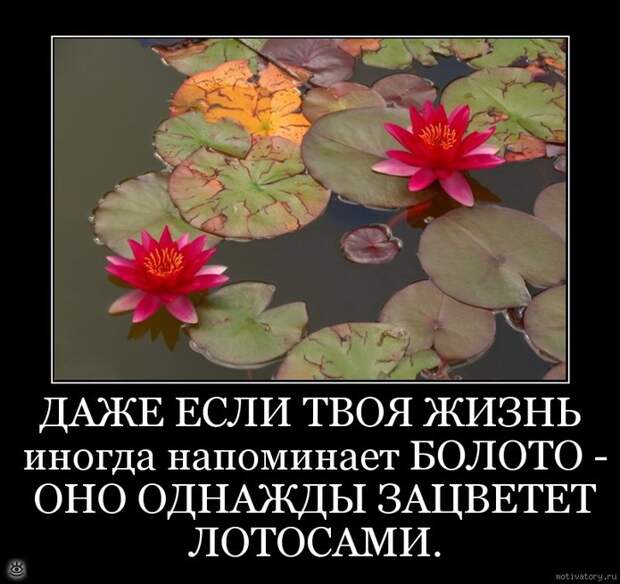 Особые осенние демотиваторы 26