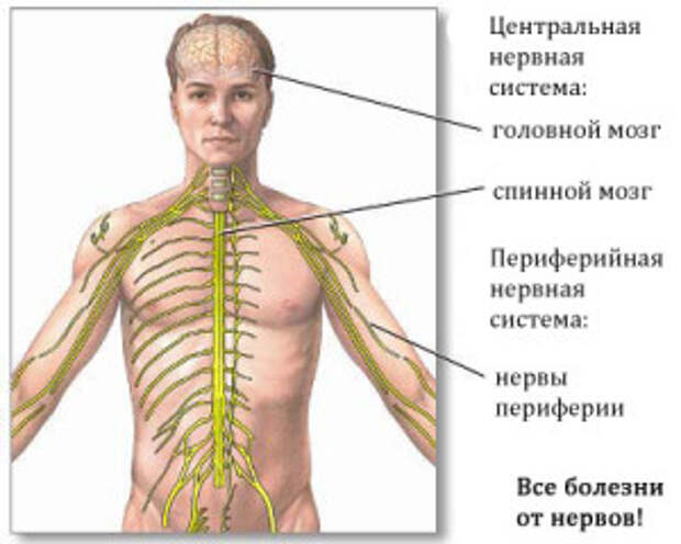 vse_bolezni_ot_nervov