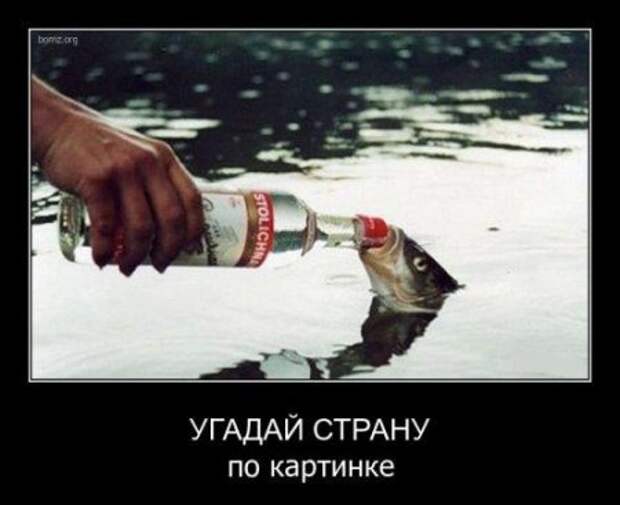 Демы смешные и самые прикольные на сегодня.