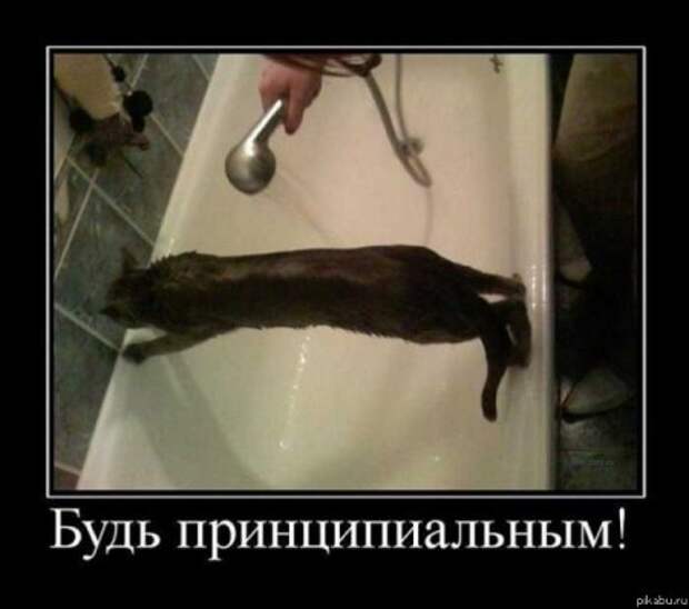 Самые смешные демотиваторы только у нас!