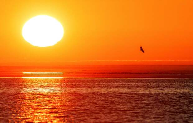 На Солнце произошла сильная вспышка