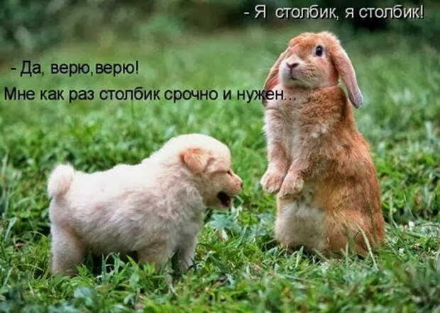 1248340697_podpisi_7