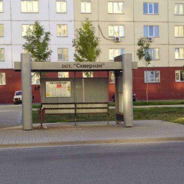 Маразмы месяца Маразмы месяца копирайтинг, маразм