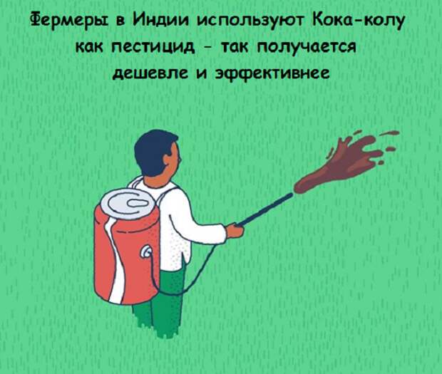 www.vsyako.net