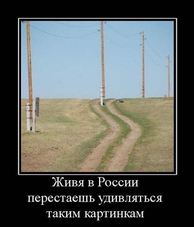Фото, которые гарантированно поднимут вам настроение! Фото, которые гарантированно поднимут вам настроение! смешно, юмор