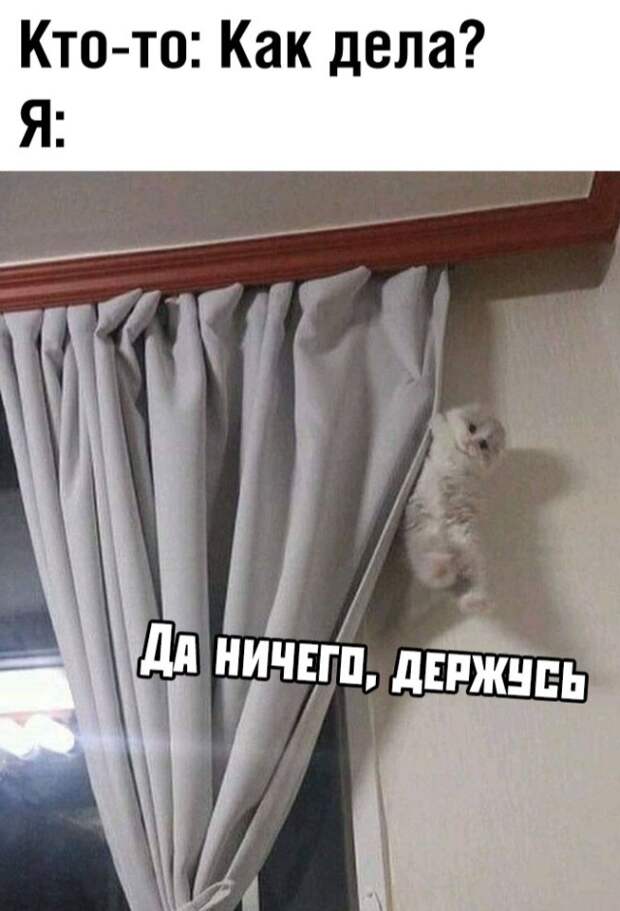 Забавные надписи к фотографиям и картинкам из сети