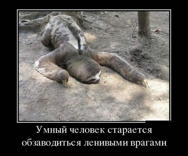 Демотиваторы (30 фото)