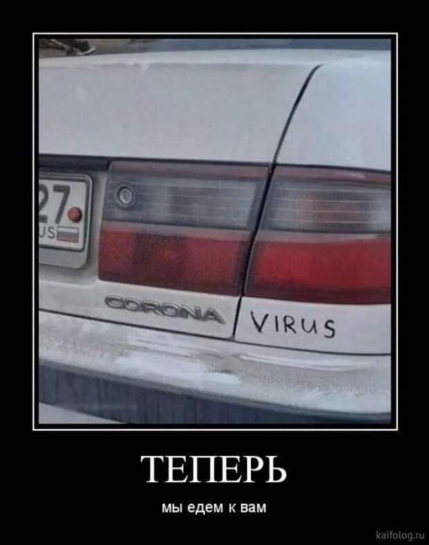 Демотиваторы про коронавирус с надписями. Подборка chert-poberi-dem-koronavirus-chert-poberi-dem-koronavirus-40040411082020-10 картинка chert-poberi-dem-koronavirus-40040411082020-10