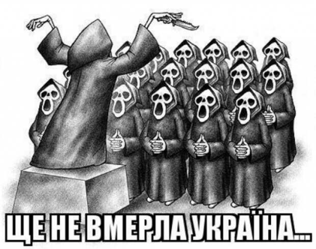 Сергей Белов: За лозунг «Слава Украине» скоро на Украине будут бить морду