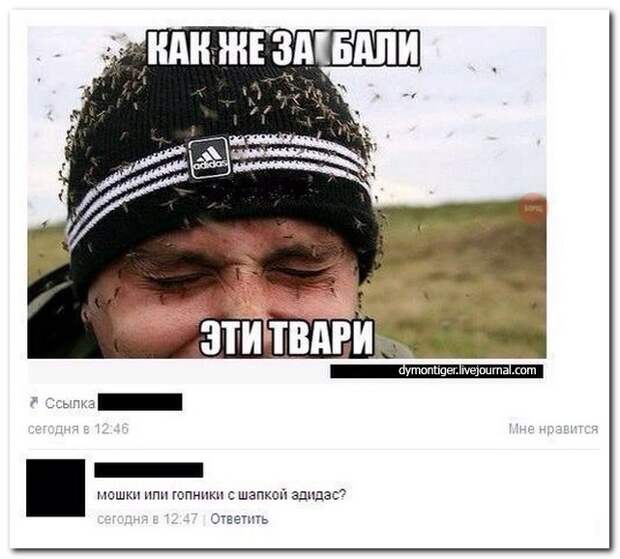 Смешные комментарии из социальных сетей (26 фото)