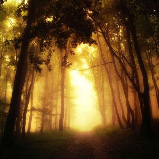 Красивые фотографии чешского фотографа Janek Sedlar