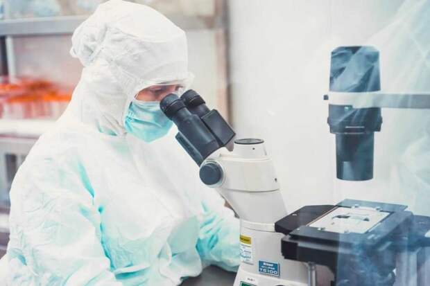 В России произошел всплеск заражения «мышиной» лихорадкой