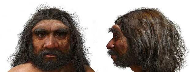 Новые данные об эволюции Homo sapiens