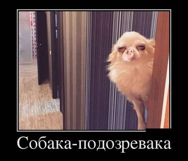 Демотиваторы (30 фото) Демотиваторы (30 фото)