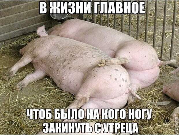 Прикольные картинки с подписями (23 шт)
