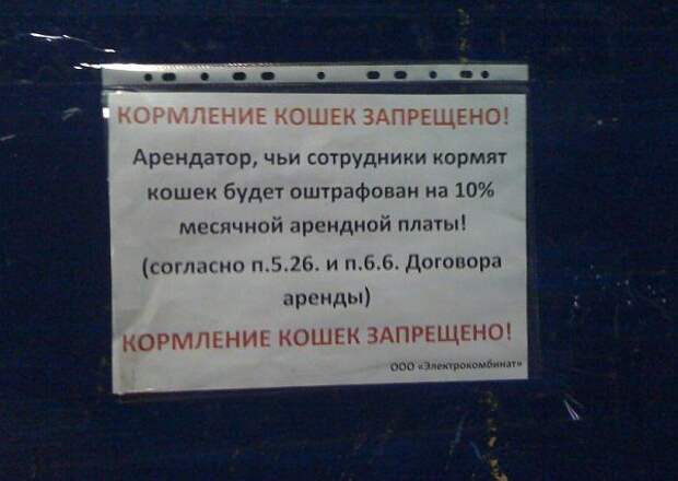 Уморительные тексты