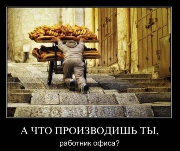 Новый сборник классных  демотиваторов февраля (2014)