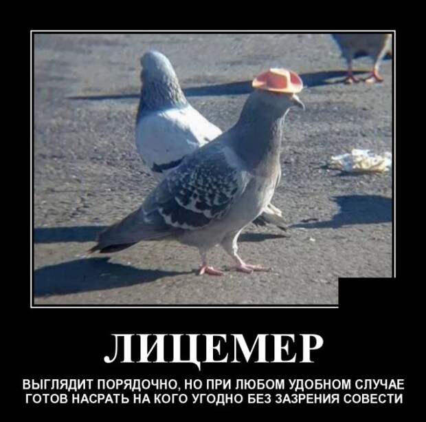 Демотиваторы (20 фото)