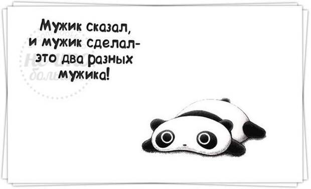 Веселые жизненные наблюдения из Вредного журнала