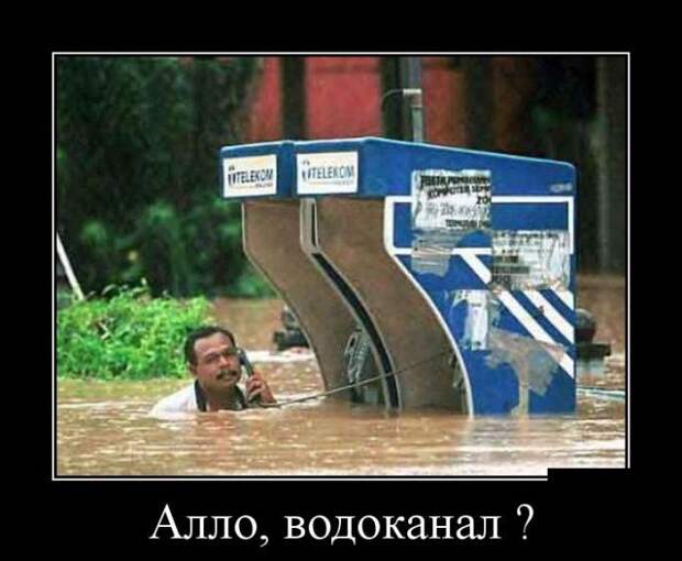 Демотиваторы бревно, демотиваторы, юмор