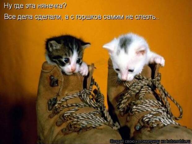 Котоматрица