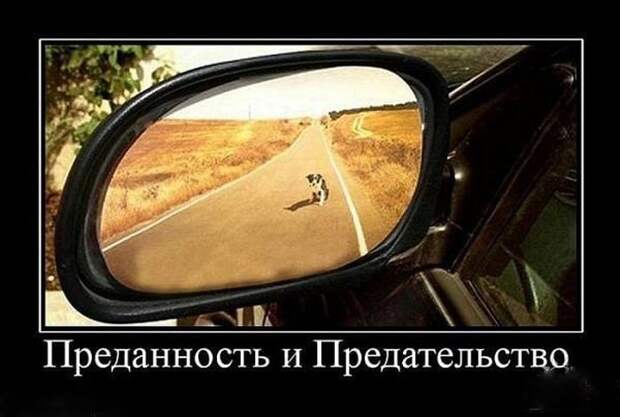 Демотиваторы (30 фото)