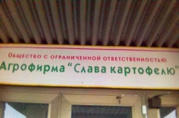Смешная реклама и вывески (20 фото)
