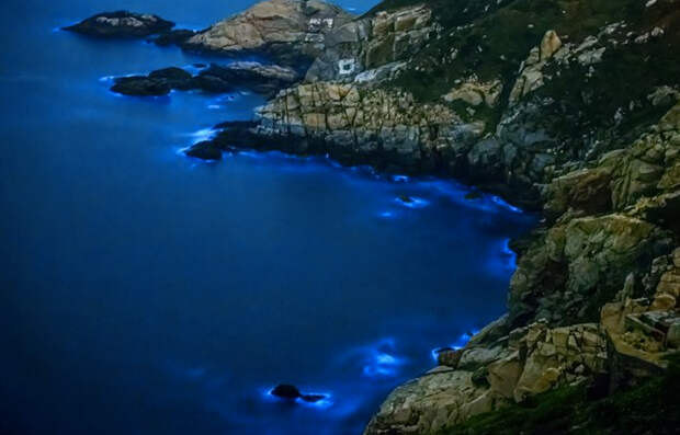 10 заливов с биолюминесцентной подсветкой