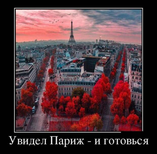 Демотиваторы (30 фото)