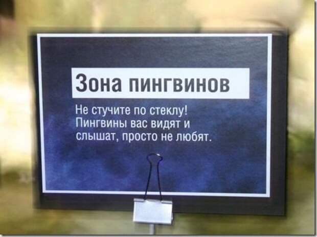 Шедевральные надписи и объявления