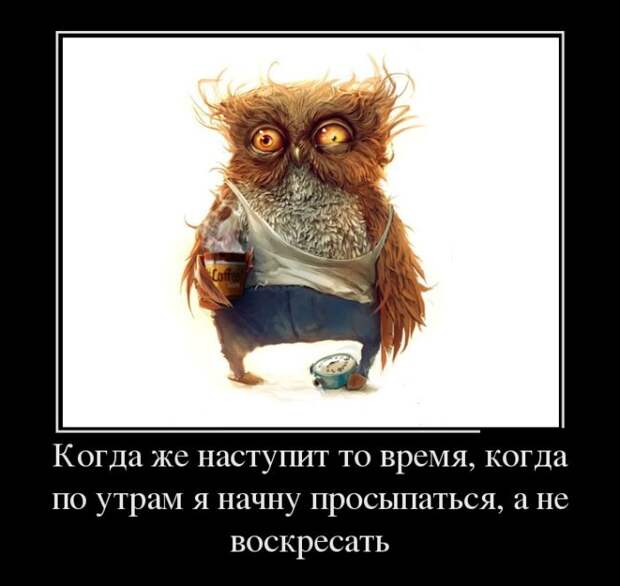 Пятничная подборка демотиваторов  демотиватор, юмор