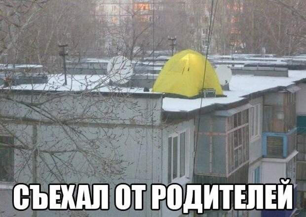 Смешные картинки с надписями прикол, юмор
