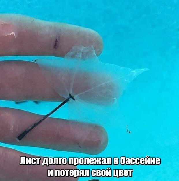 Неожиданные и необычные фото Неожиданные и необычные фото