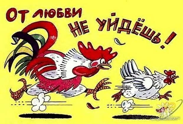 Фотоальбом Славгород Юмор лямур