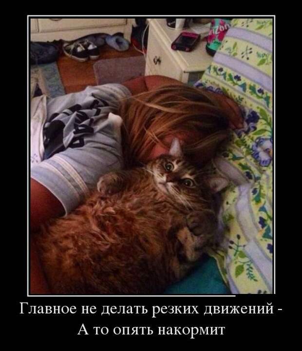 Демотиваторы (30 фото)