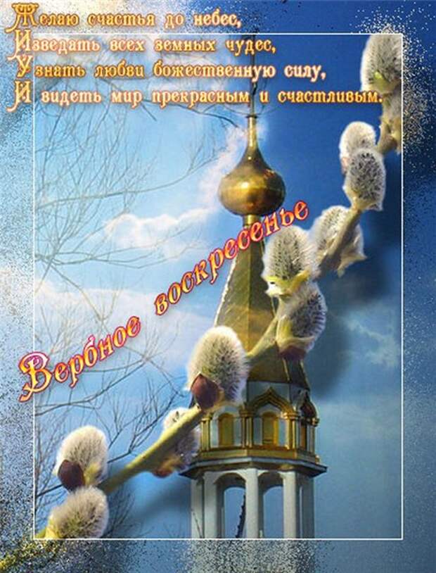 Что нельзя делать в Вербное Воскресенье? Что нельзя делать в Вербное Воскресенье?