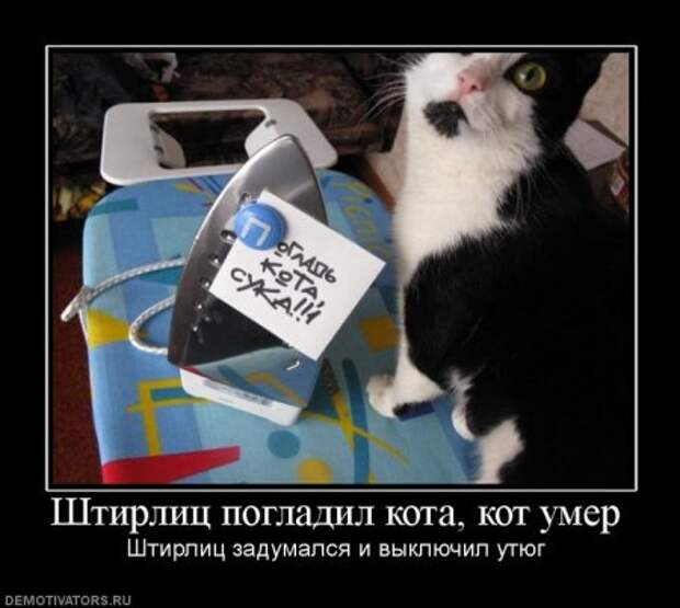 Демотиваторы про котэ, почти как котоматрицы!