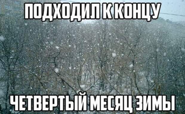 Прикольные картинки после 1 апреля (64 шт)