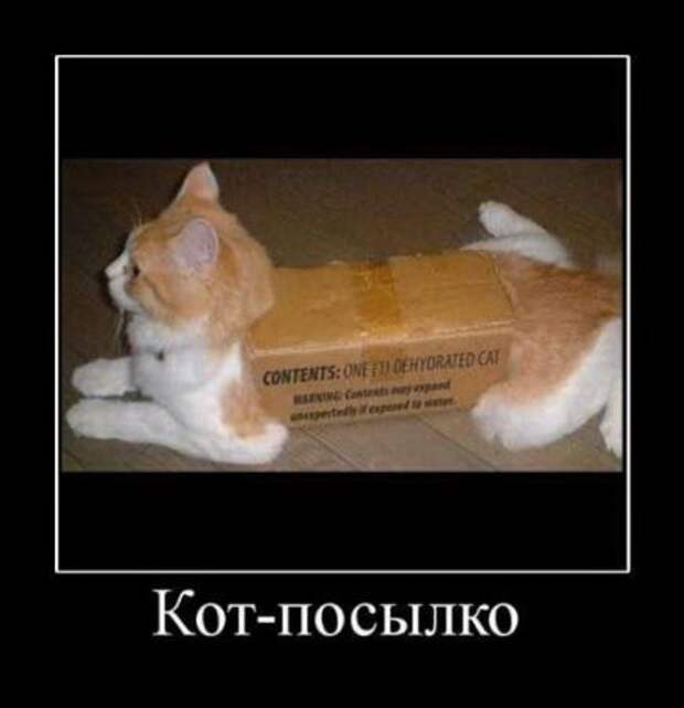 Демотиваторы новые смешные.