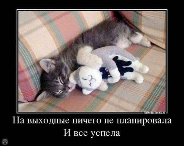 Ура, воскресенье! 31
