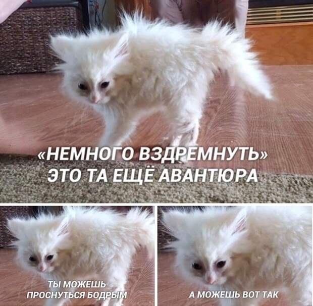 Когда "А можешь вот так" устраивает