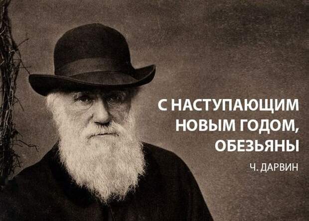 Прикольные картинки. Дневной выпуск (50 фото)