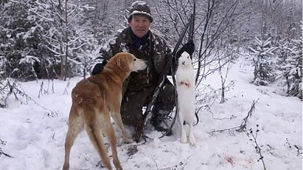 Собака застрелила хозяина на охоте в Пермском крае. животные, охота и рыбалка, Пермский край, собаки. НТВ.Ru: новости, видео, программы телеканала НТВ