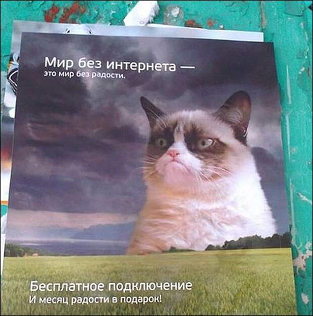 7285405-R3L8T8D-500-f447c88128f2230e580afc49a0f